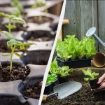 7 dingen om te doen op het perceel in febri: