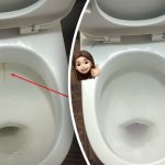 Eén product maakt je toiletpot stralend wit: hoe je tandplak en vuil aanpakt in 15 minuten Eén product maakt je toiletpot stralend wit: hoe je tandplak