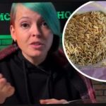 Hoe je ciderplanten kiest en je buren verrast met een oogst: een tuinier gaf doeltreffende tips Hoe je ciderplanten kiest en je buren verrast met een