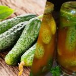 Komkommers sluiten in chiliketchup voor de winter: 3 weergaloze recepten Komkommers sluiten in chiliketchup voor de winter: 3 weergaloze recepten