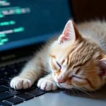 waarom-katten-op-toetsenborden-zitten-een-reden-zal-je-hart.webp.webp