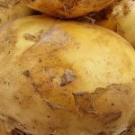 Wanneer aardappelen planten volgens de maankalender in 2026 om twee keer zoveel te oogsten als normaal wanneer-aardappelen-planten-volgens-de-maankalender-in-2026-om-twee.jpg